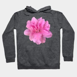 Pink Azalea Flower Close-up Hoodie